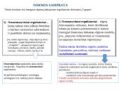 Teisės norma socialinių normų sistemoje 3 puslapis