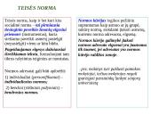 Teisės norma socialinių normų sistemoje 7 puslapis