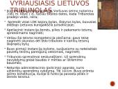 LDK teismai. Institucijos 14 puslapis