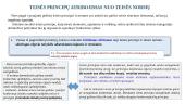 Teisės principai (pristatymas) 8 puslapis