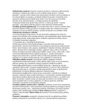 Globalizacijos teorija atsiskaitymui