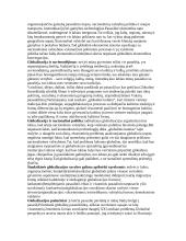 Globalizacijos teorija atsiskaitymui 2 puslapis