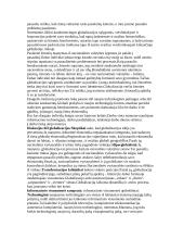 Globalizacijos teorija atsiskaitymui 3 puslapis