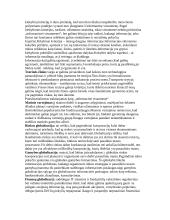 Globalizacijos teorija atsiskaitymui 5 puslapis