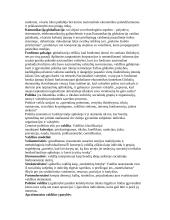 Globalizacijos teorija atsiskaitymui 6 puslapis