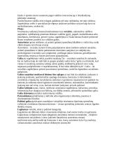 Globalizacijos teorija atsiskaitymui 7 puslapis