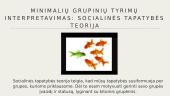 H. Taifel minimalių grupių tyrimai 15 puslapis