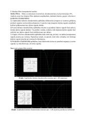 Aktyvinio filtro kūrimas 8 puslapis