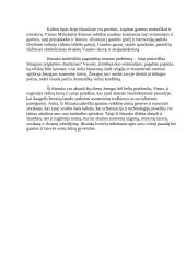 „Altorių šešėly” ištraukos interpretacija 2 puslapis