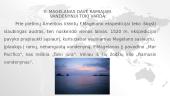 Įdomūs faktai apie F. Magelano kelionę 4 puslapis