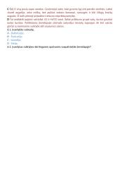 Politinė geografija. Egzamino klausimai 7 puslapis