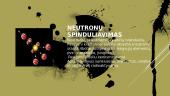 Skaidrės: radioaktyvumas 12 puslapis