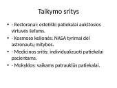 3D maisto spausdintuvas  4 puslapis