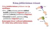 Kūnų įelektrinimas. Elektros krūvio tvermė 3 puslapis