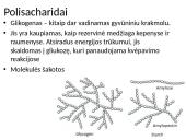 Ląstelės chemija 10 puslapis