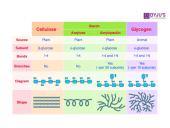 Ląstelės chemija 12 puslapis