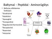 Ląstelės chemija 14 puslapis