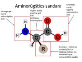 Ląstelės chemija 15 puslapis