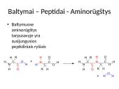 Ląstelės chemija 16 puslapis