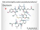 Ląstelės chemija 17 puslapis