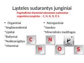 Ląstelės chemija 2 puslapis