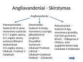 Ląstelės chemija 3 puslapis