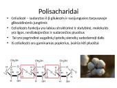 Ląstelės chemija 9 puslapis