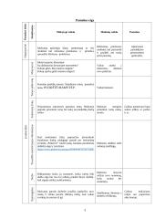 Dailės ir technologijų pamokos išplėstinis planas 2 puslapis