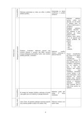 Dailės ir technologijų pamokos išplėstinis planas 3 puslapis
