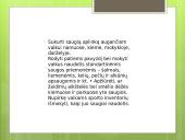 Saugi ir sveika vaiko aplinka 4 puslapis