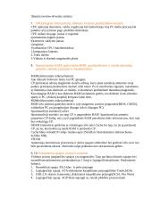 Informacinių technologijų pradmenys 3 puslapis