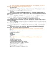 Informacinių technologijų pradmenys 6 puslapis