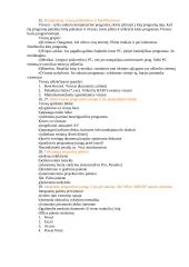 Informacinių technologijų pradmenys 7 puslapis