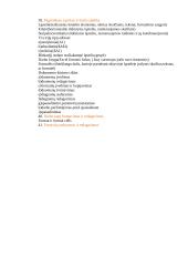 Informacinių technologijų pradmenys 9 puslapis