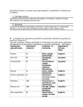 Ilgalaikis namų darbas. Litosferos plokštės ir ugnikalniai 2 puslapis