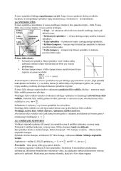 Šviesos sklidimas, atspindys ir lūžis 2 puslapis