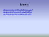 Skaidrės - Kryžiaus žygiai 12 puslapis