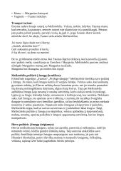 ,,Faustas'' kūrinio analizė 2 puslapis