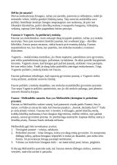 ,,Faustas'' kūrinio analizė 3 puslapis