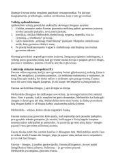 ,,Faustas'' kūrinio analizė 5 puslapis