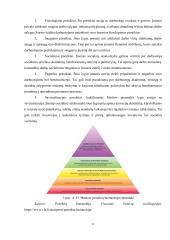 Uždarosios akcinės bendrovės „Ignitis“ ir akcinės bendrovės „Telia Lietuva“ socialinė atsakomybė 10 puslapis