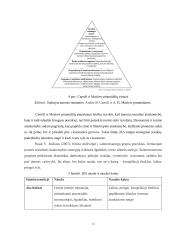 Uždarosios akcinės bendrovės „Ignitis“ ir akcinės bendrovės „Telia Lietuva“ socialinė atsakomybė 12 puslapis