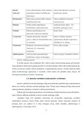 Uždarosios akcinės bendrovės „Ignitis“ ir akcinės bendrovės „Telia Lietuva“ socialinė atsakomybė 13 puslapis