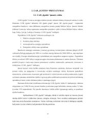 Uždarosios akcinės bendrovės „Ignitis“ ir akcinės bendrovės „Telia Lietuva“ socialinė atsakomybė 18 puslapis