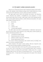 Uždarosios akcinės bendrovės „Ignitis“ ir akcinės bendrovės „Telia Lietuva“ socialinė atsakomybė 19 puslapis