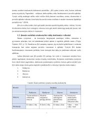 Uždarosios akcinės bendrovės „Ignitis“ ir akcinės bendrovės „Telia Lietuva“ socialinė atsakomybė 6 puslapis