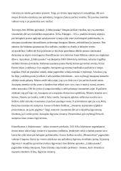 Vienišo žmogaus vaizdavimas literatūroje 2 puslapis