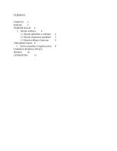 Jaunimo skurdas Lietuvoje