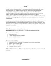 Jaunimo skurdas Lietuvoje 2 puslapis