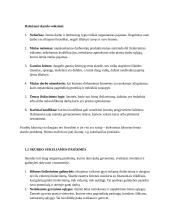 Jaunimo skurdas Lietuvoje 4 puslapis